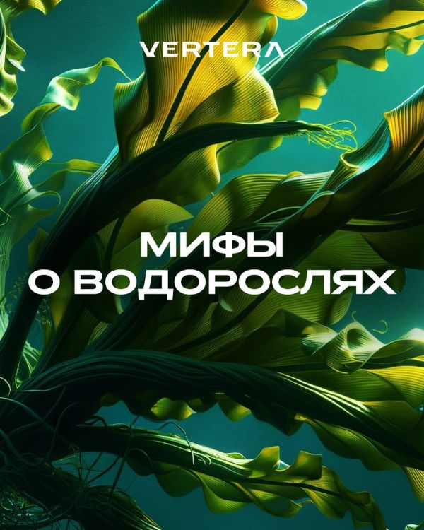 Мифы о водорослях 🌿 Развеиваем самые популярные заблуждения